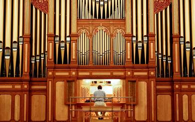 Adelaide town hall pipe organ